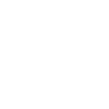 Trainer & Medical